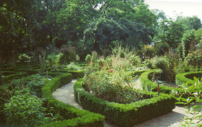 Buchsbaumhecke, formaler Garten im Botanischen Garten Amsterdam, September 2000