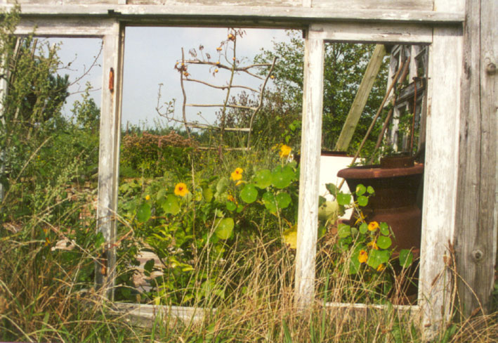 BUND-Naturgarten, Landesgartenschau Bad Zwischenahn, Sommer 2002